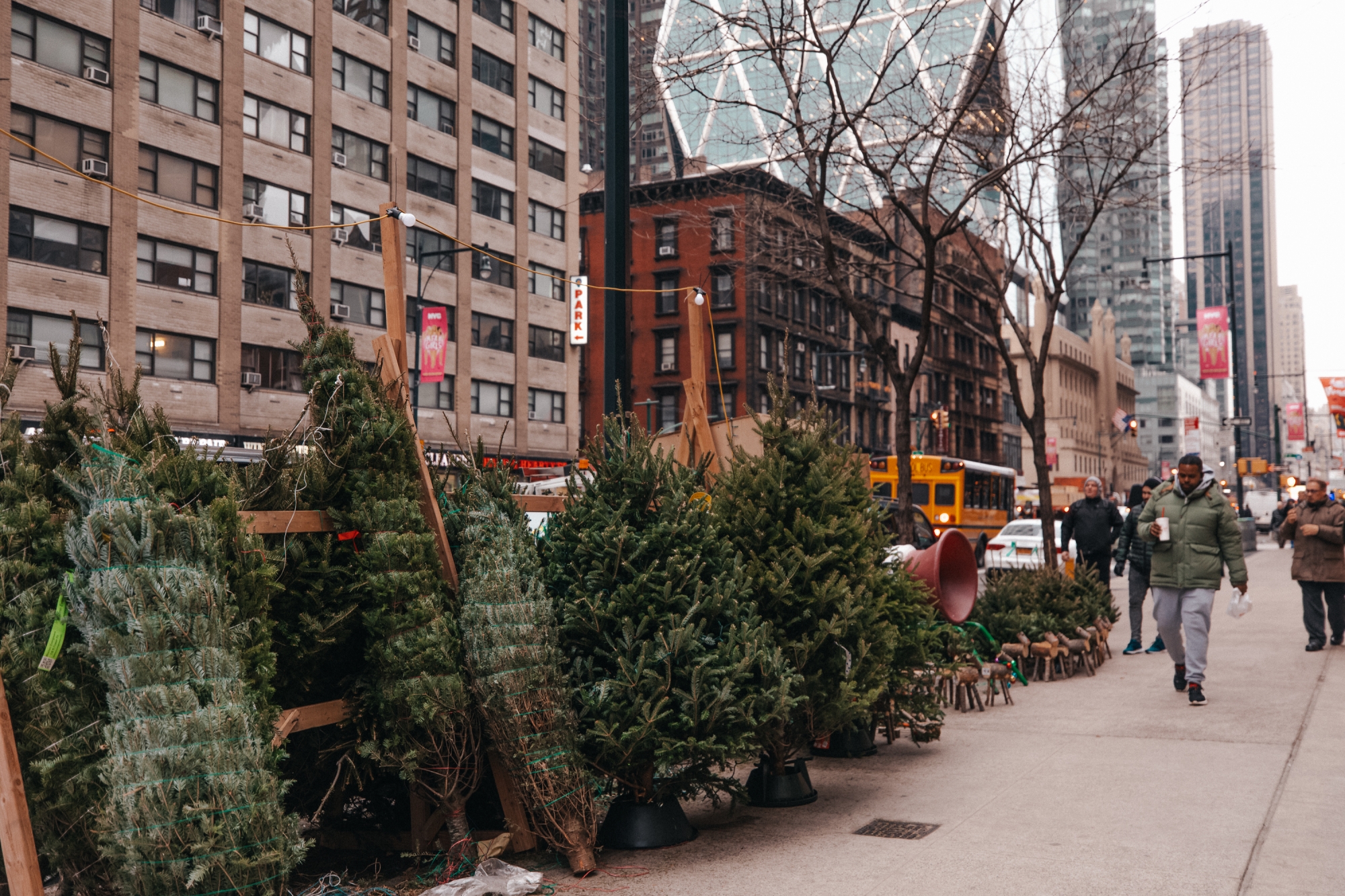Christmas Tree Shops New York 1