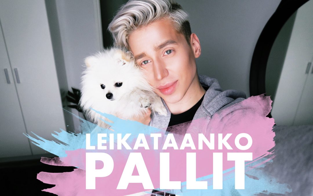 VIDEO: LEIKATAANKO PALLIT POIS? / BLOGGAAJAN VIIKKO