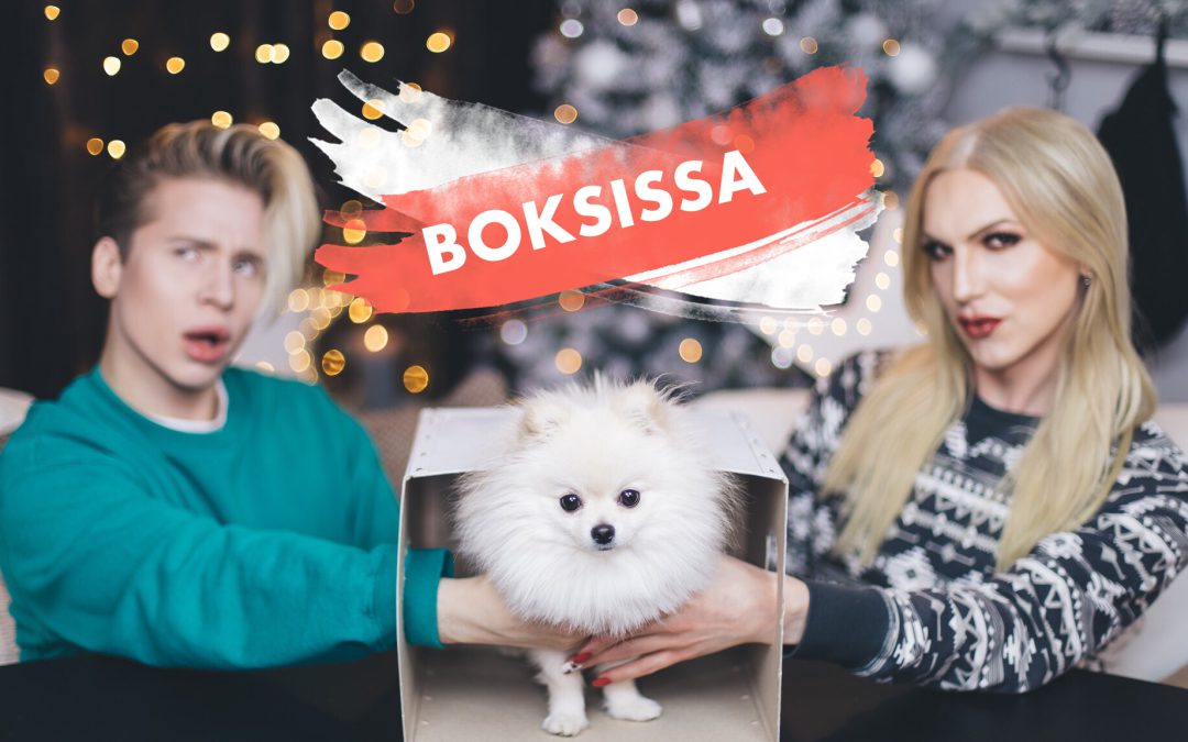 VIDEO: WHAT’S IN THE BOX CHALLENGE FT. BRITNEY SUMELL / LUUKKU 9